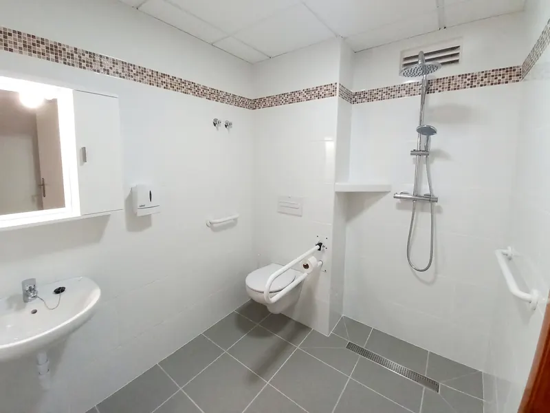 Un baño con ducha a ras de suelo, barras de apoyo junto a la ducha y al inodoro, lavabo y espejo iluminado.