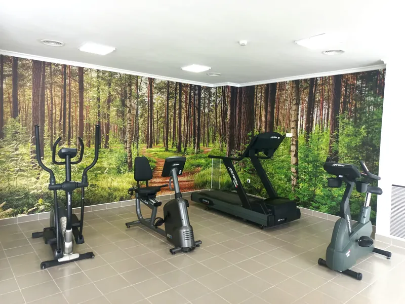 La sala de ejercicios: elíptica, bicicleta reclinada, cinta de correr y bicicleta estática ante un mural de un pinar.