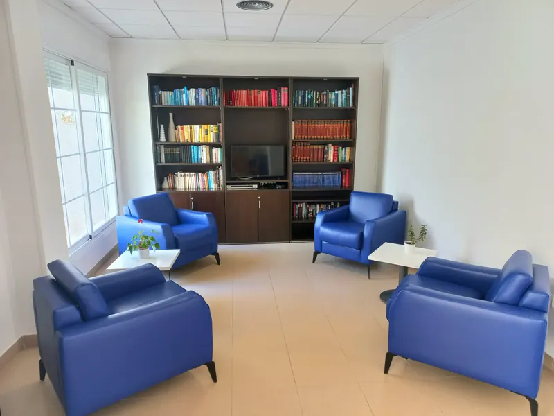 Una sala de estar: cuatro sillones azules de piel y una librería de madera oscura llena de libros, con un televisor.