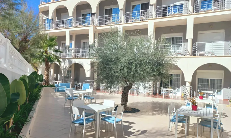 La terraza ante el edificio de balcones en arco: un olivo en el centro y mesas blancas con sillas de cojines azules.